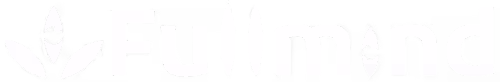 Logo of Fullmind.agency